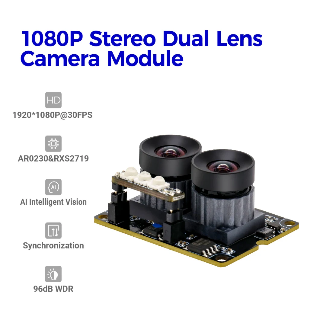 Customized Terminal 2MP Ai Face Recognition 96degree No Distortion Stereo Dual Lens Camera Module for Access Control System